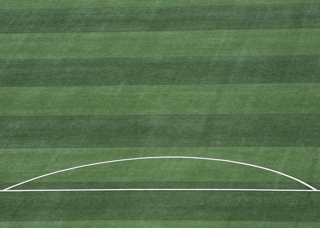 也为中国赛 也为中国赛