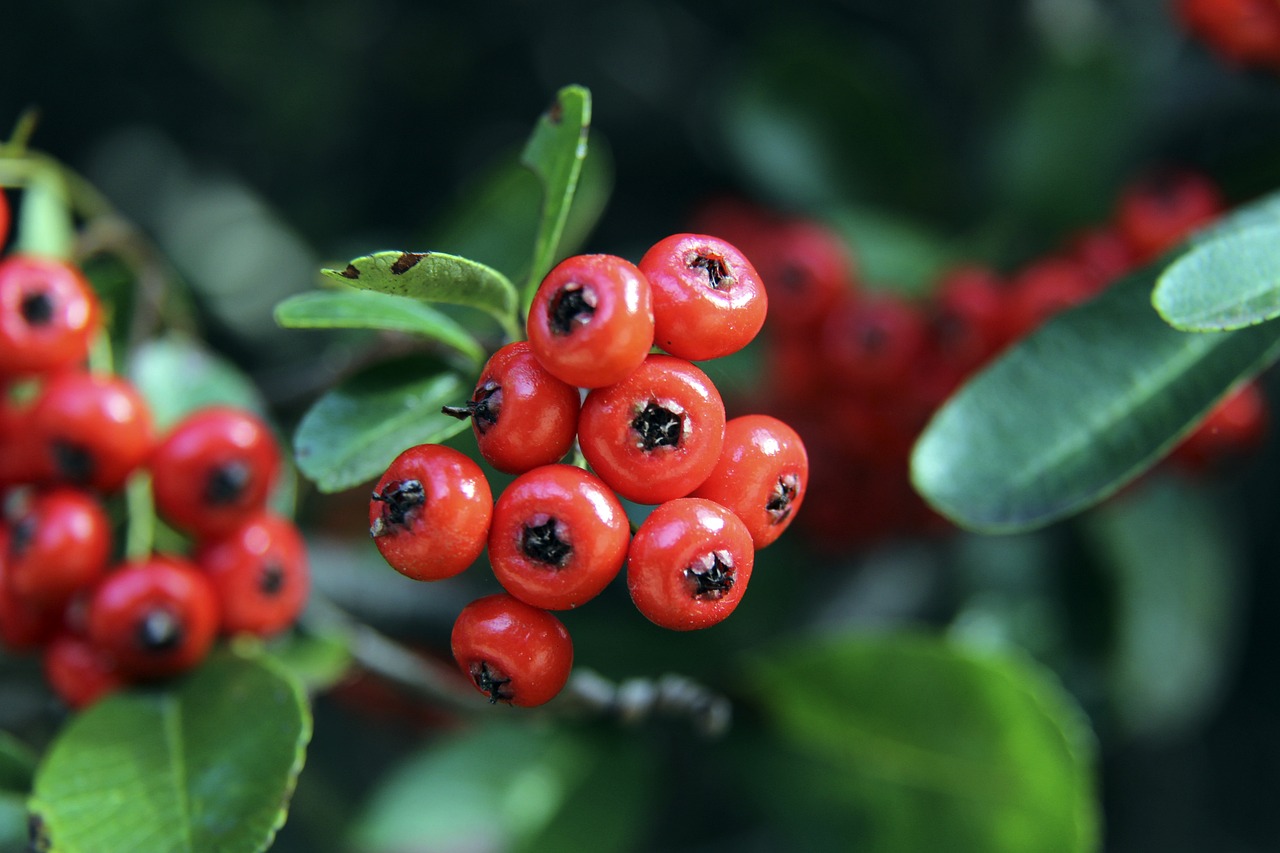 轻松破门 轻松破门