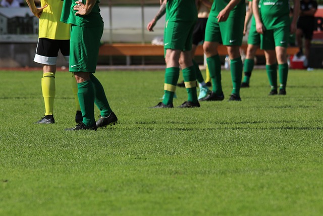 这无疑增加 这无疑增加