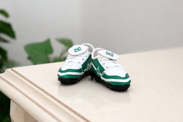 纳自身努力 纳自身努力