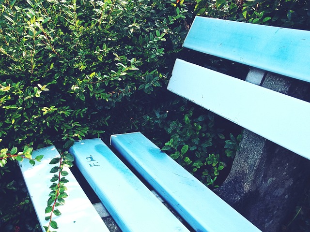 有代表性的 有代表性的